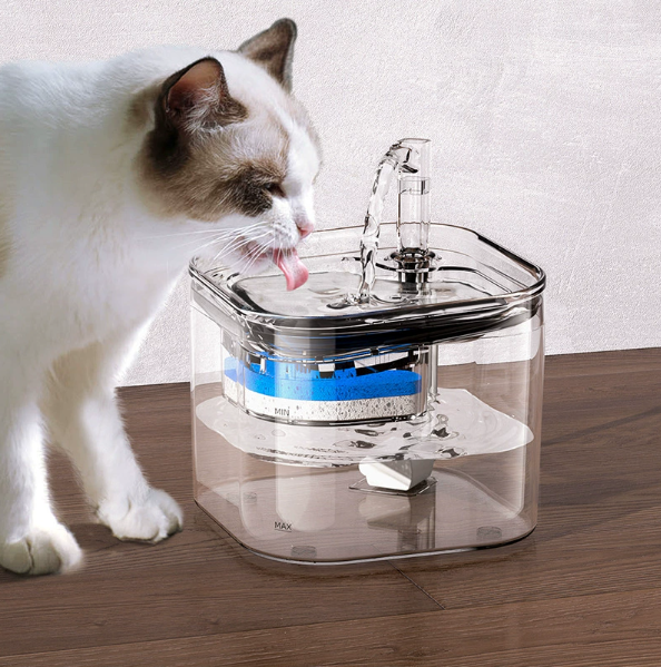 PET WATER DISPENER