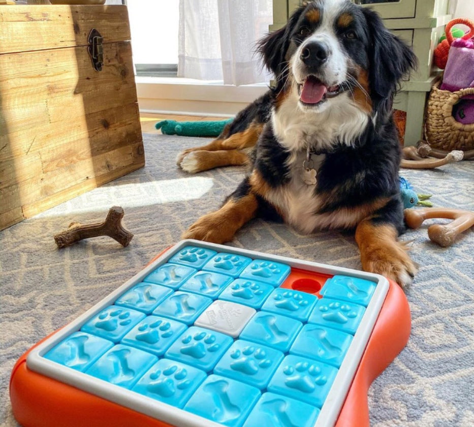 Advanced multi-layer slider dog puzzle feeder toy