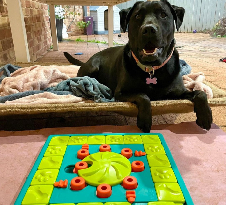 Advanced multi-layer slider dog puzzle feeder toy