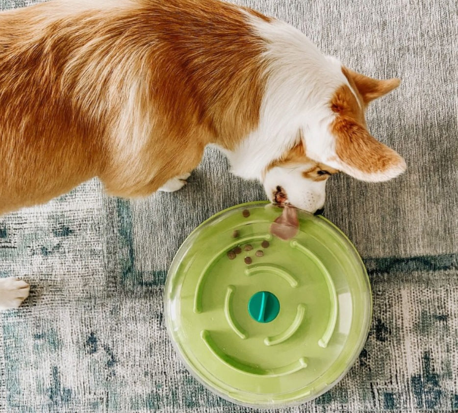 Advanced multi-layer slider dog puzzle feeder toy