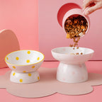 Raised ceramic dog bowl with maze pattern for slow feeding and digestion