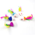 Assorted cat toy set with false mice and colorful feathers for hunting and chasing fun