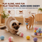 Quiet plush ball