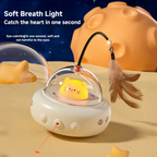Automatic cat toy
