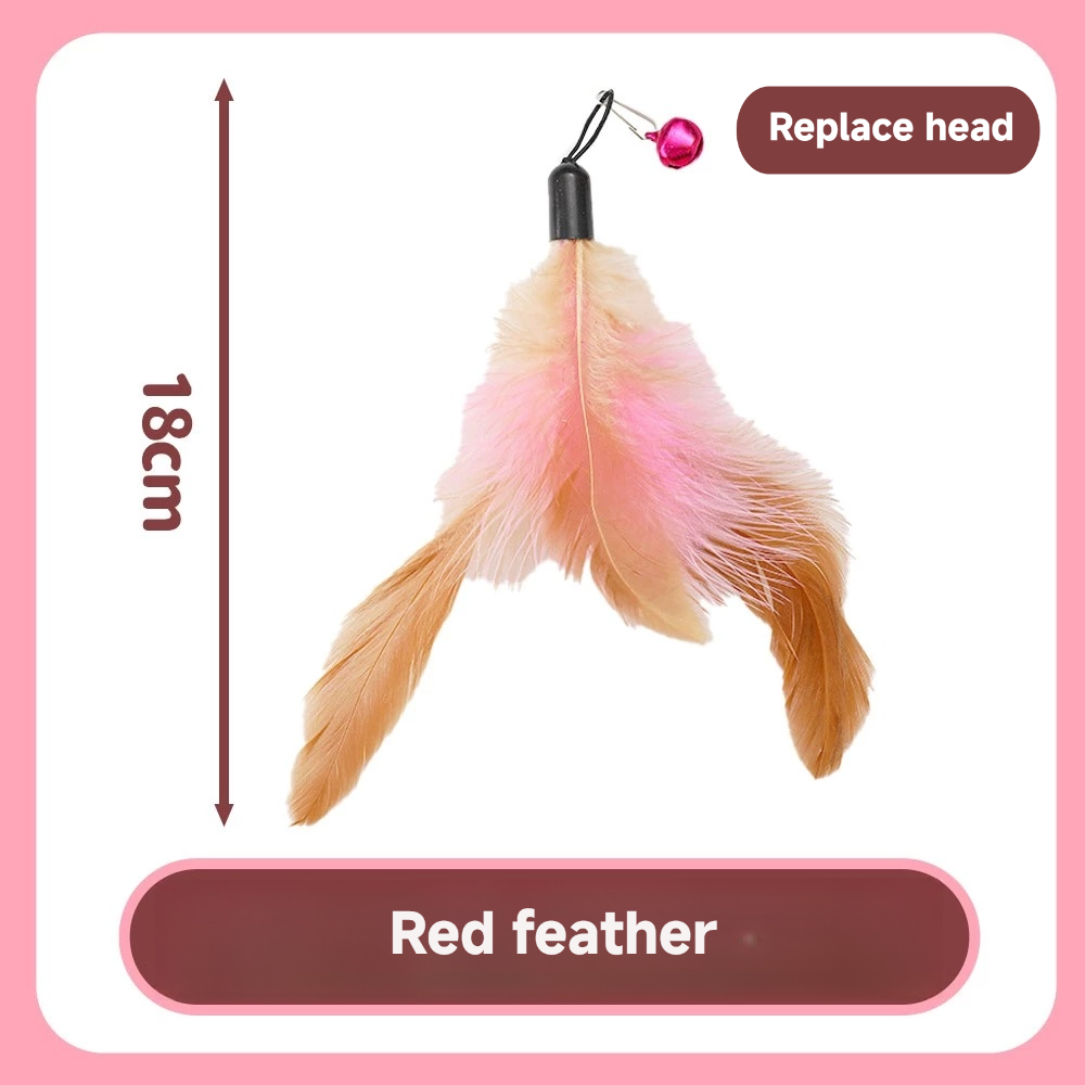 Cat teaser wand