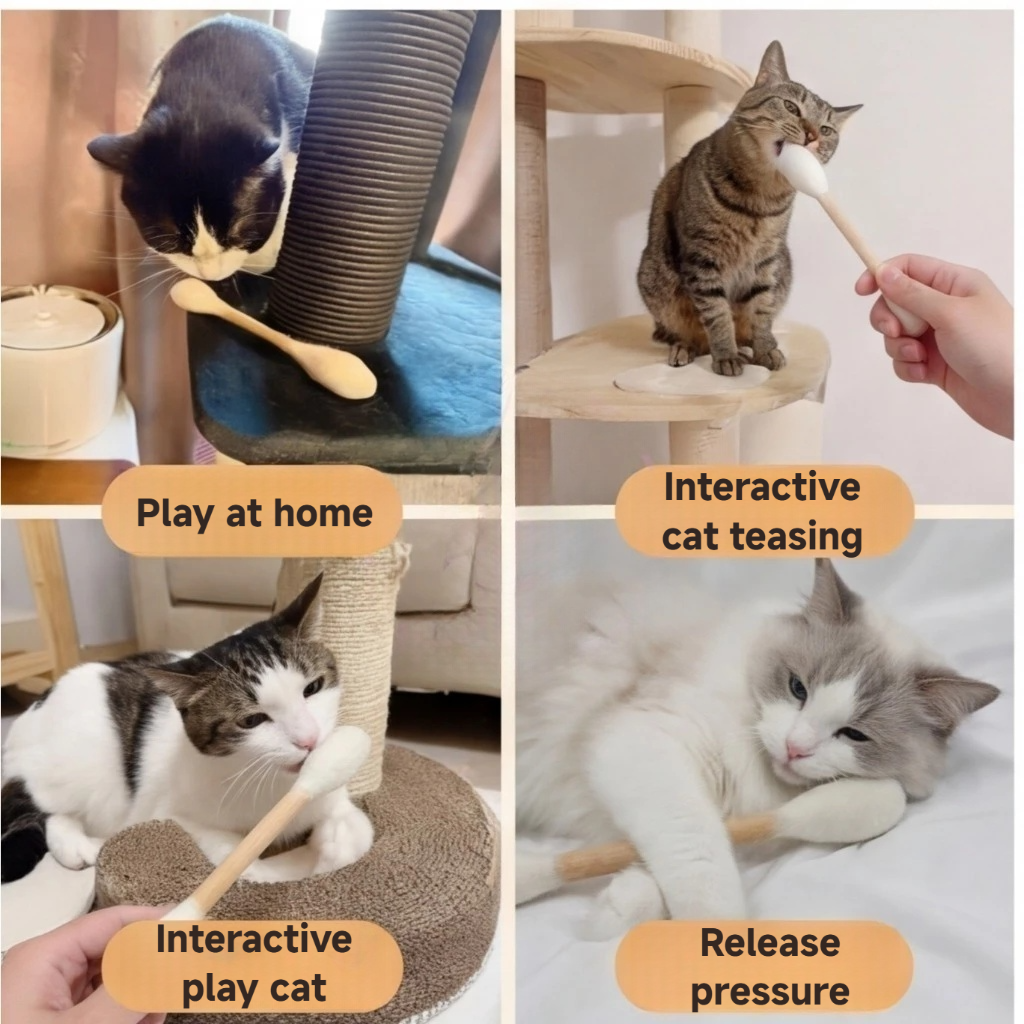 Cat cotton swabs