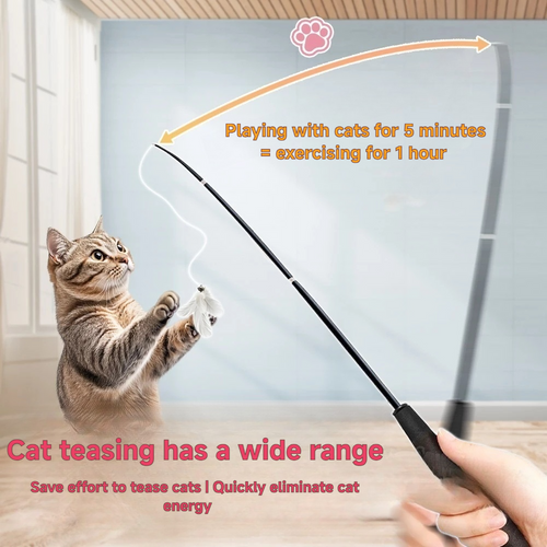 Cat teaser wand
