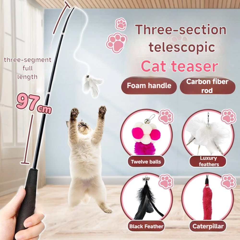 Cat teaser wand