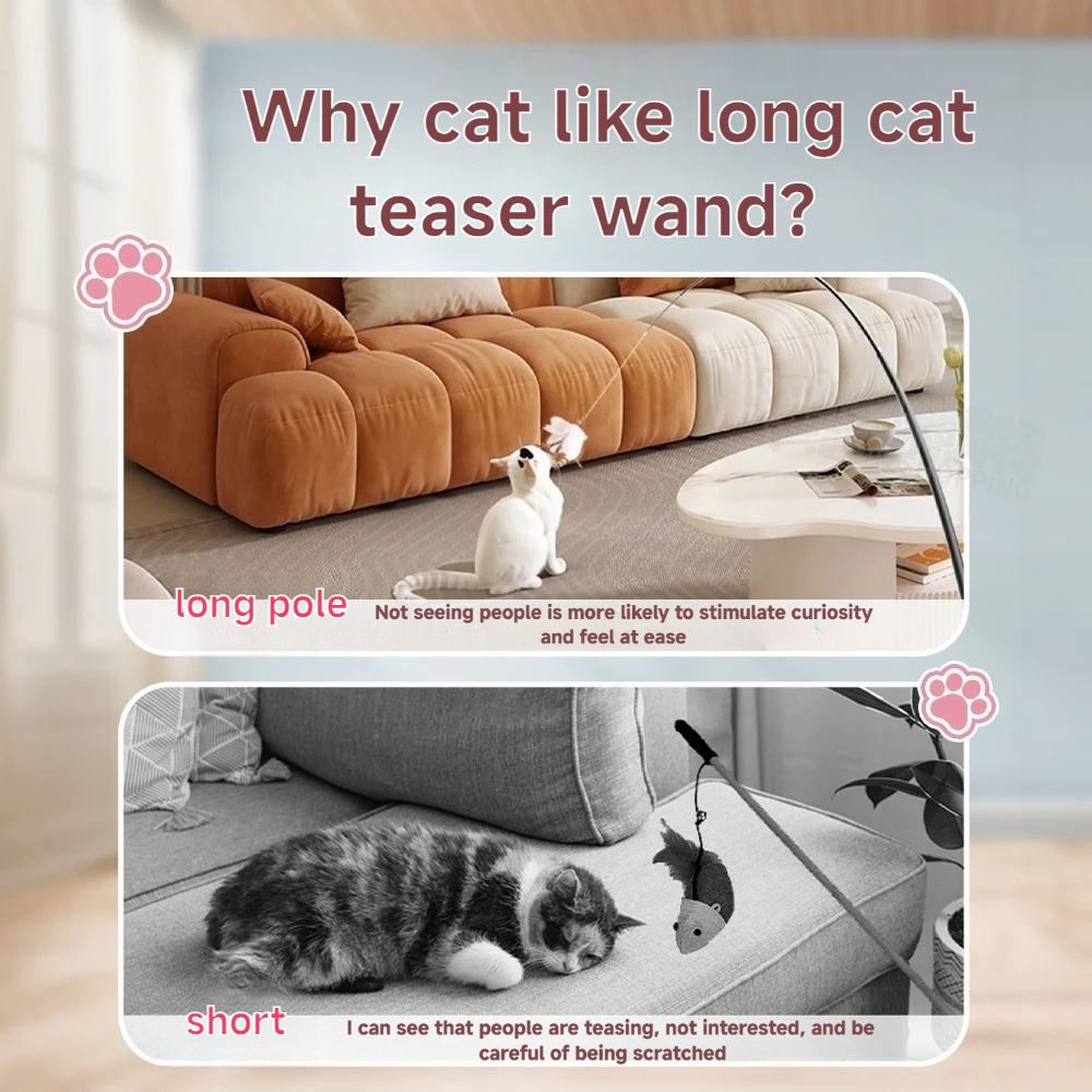 Cat teaser wand