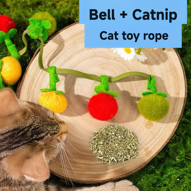 Cat string small tomatos