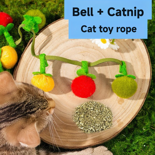 Cat string small tomatos