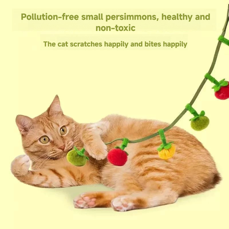 Cat string small tomatos