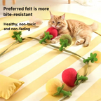 Cat string small tomatos