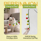 Cat string small tomatos