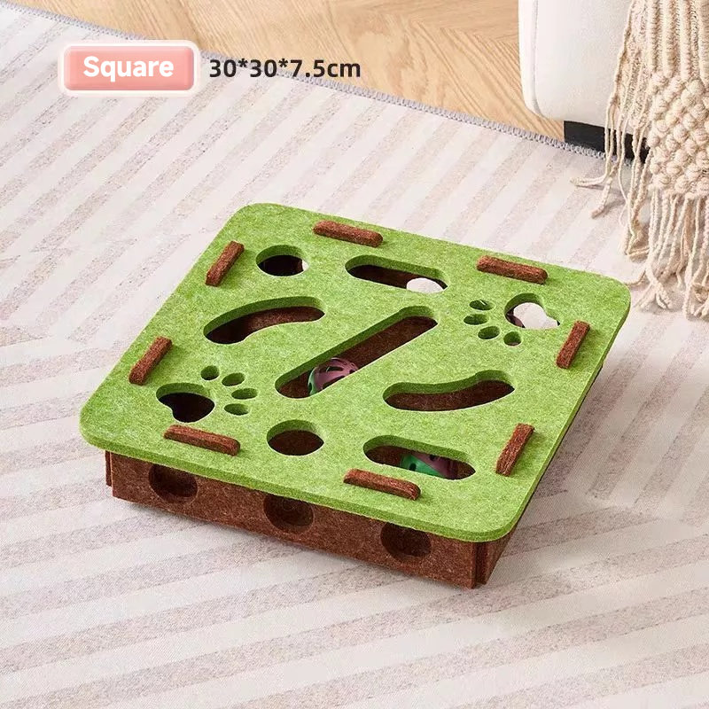 Cat teasing box