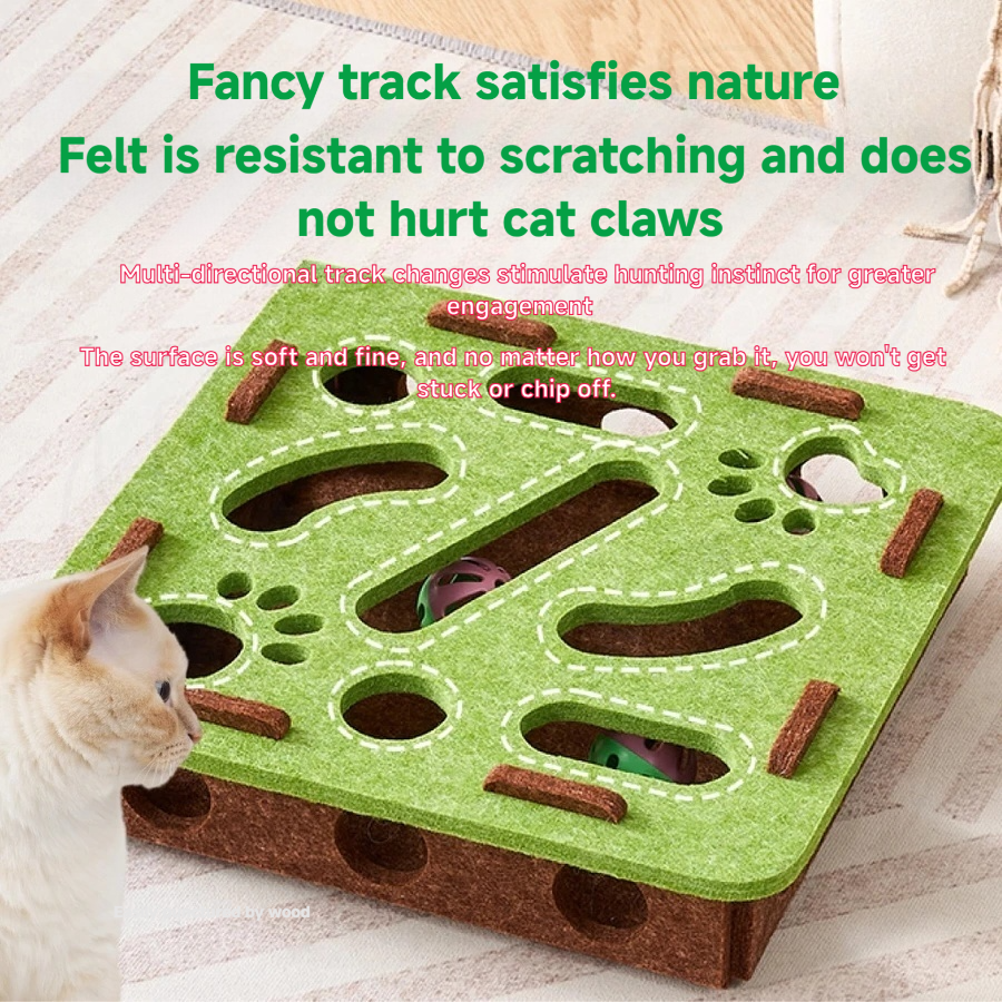 Cat teasing box